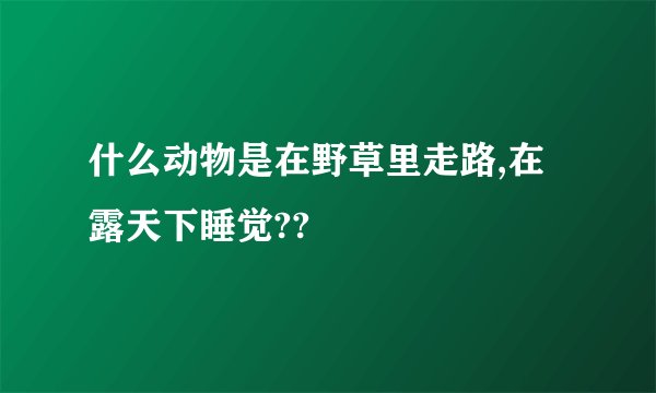 什么动物是在野草里走路,在露天下睡觉??