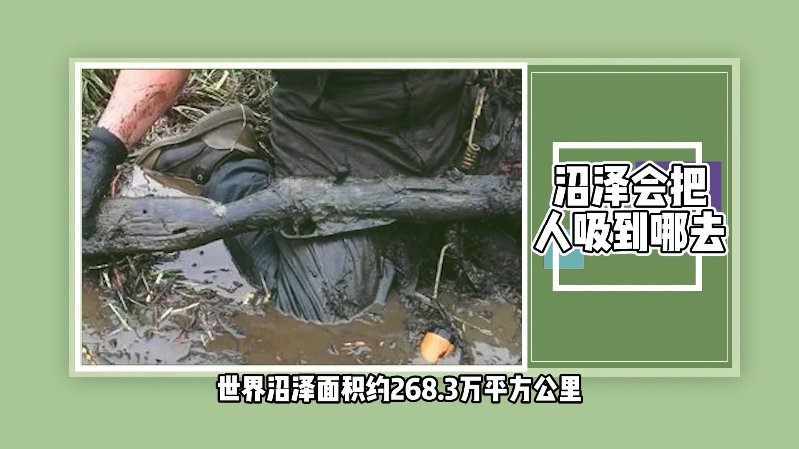 沼泽会把人吸到哪去?