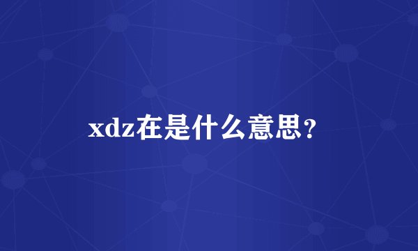 xdz在是什么意思?