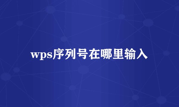 wps序列号在哪里输入