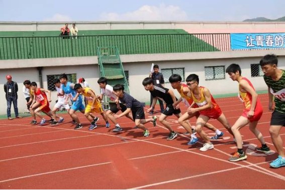 高考特长生都有哪些专业