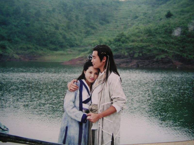 杨家将系列电影一共有多少部？