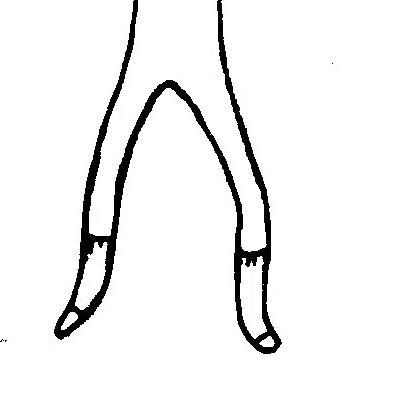 鬼步舞怎么跳?求基础图解,详细视频教学