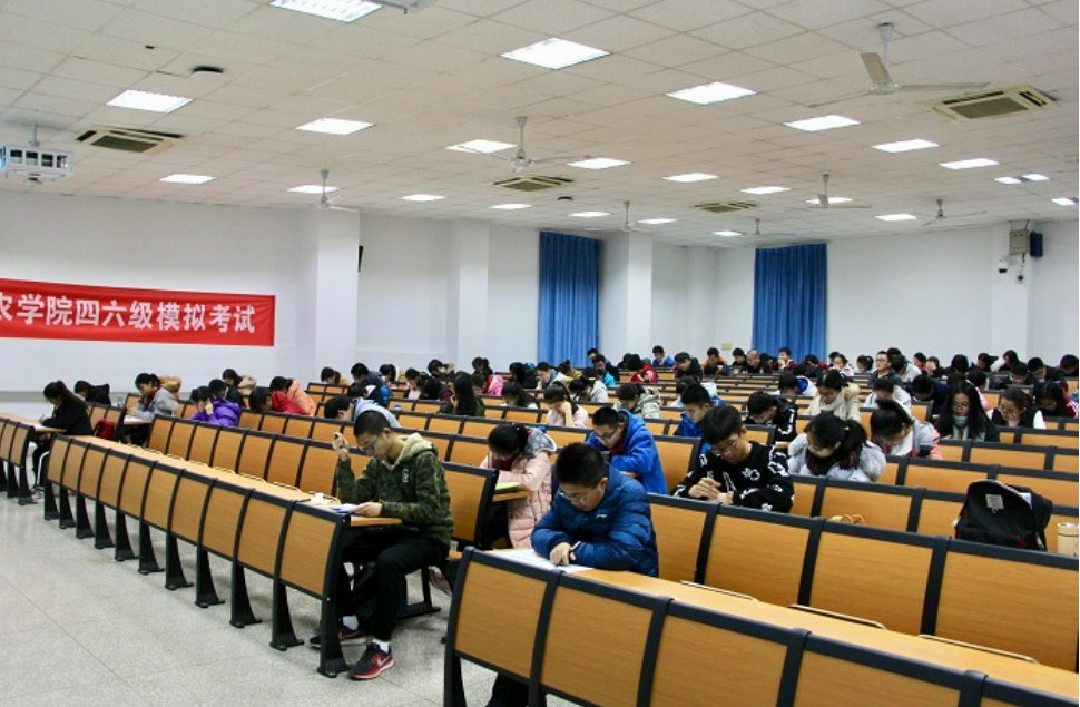 怎么查往届四六级成绩