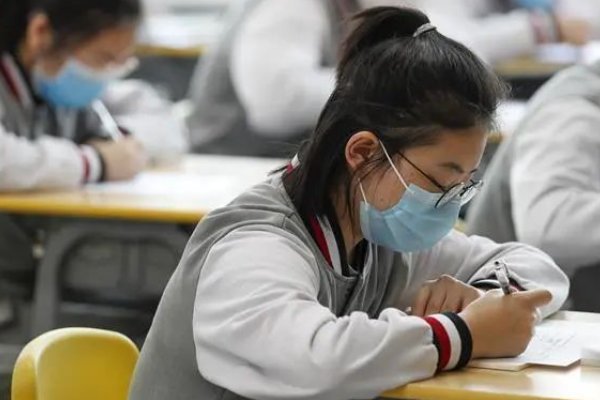 鼠雀之牙的意思