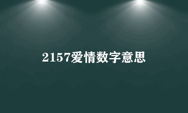 2157爱情数字意思