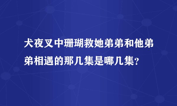 犬夜叉中珊瑚救她弟弟和他弟弟相遇的那几集是哪几集？
