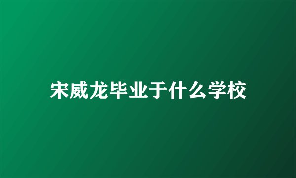 宋威龙毕业于什么学校
