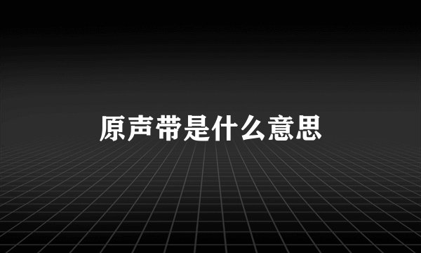 原声带是什么意思