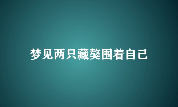 梦见两只藏獒围着自己