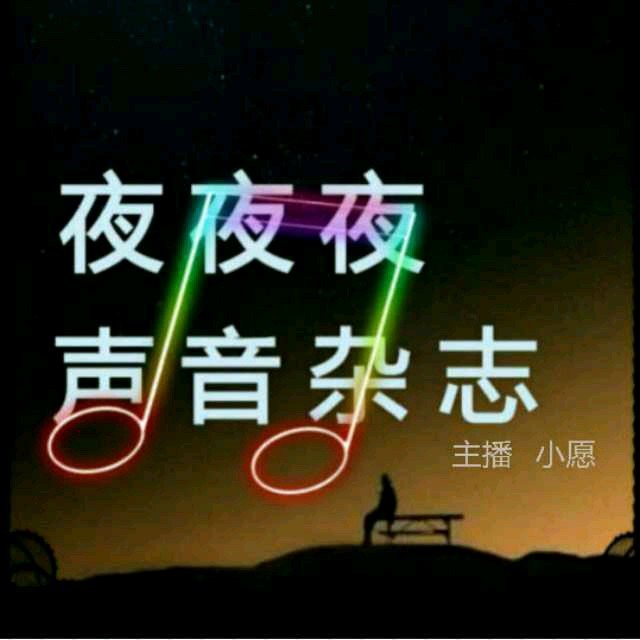 夜夜夜声音杂志的介绍