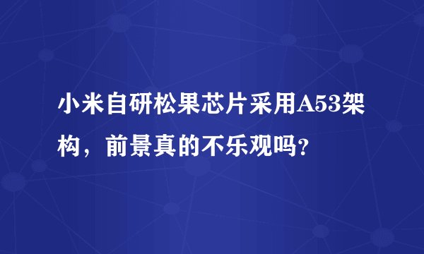 小米自研松果芯片采用A53架构，前景真的不乐观吗？