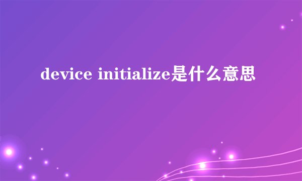 device initialize是什么意思