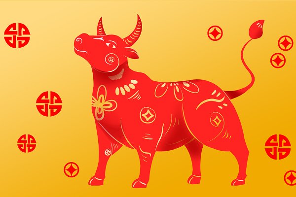 揭不开锅什么生肖