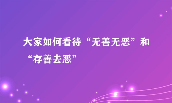 大家如何看待“无善无恶”和“存善去恶”