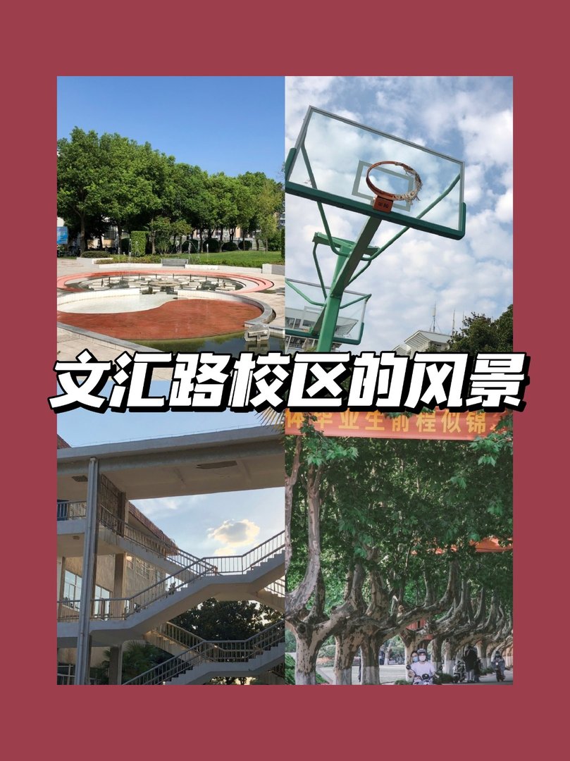 请问扬州大学的学院和专业如何划分的？