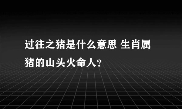 过往之猪是什么意思 生肖属猪的山头火命人？