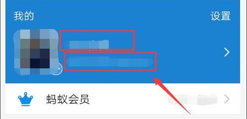 支付宝账号是什么？