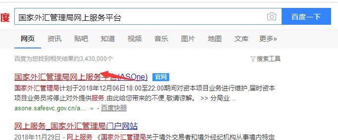 国家外汇管理局应用服务平台登录之后怎么操作？