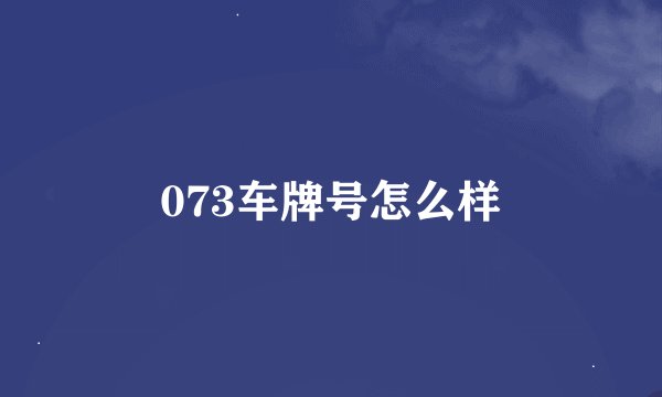 073车牌号怎么样