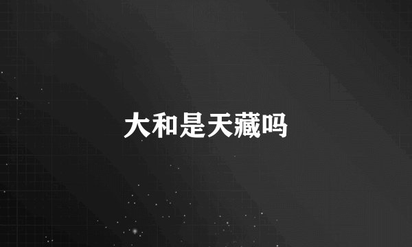 大和是天藏吗