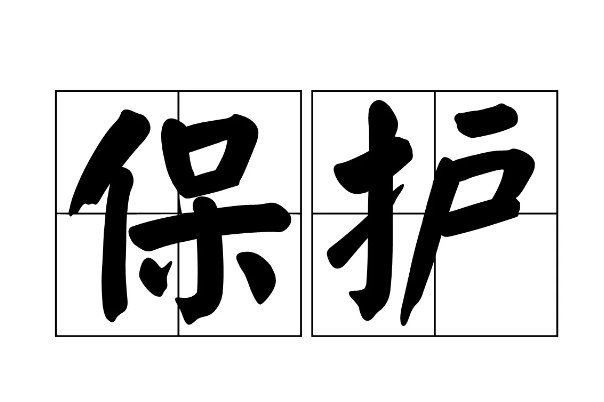 protected什么意思