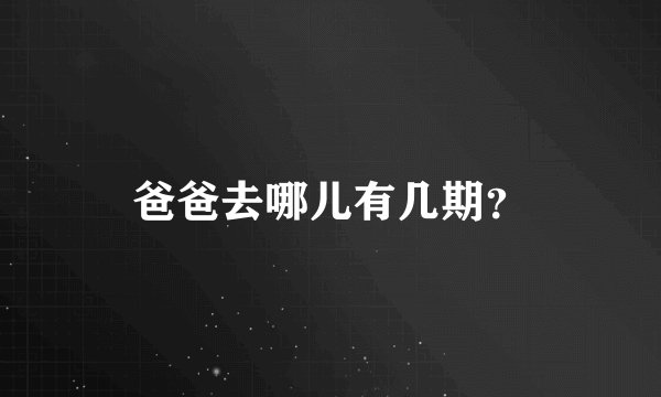 爸爸去哪儿有几期？