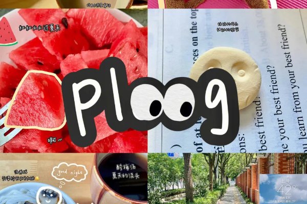 plog是什么意思？