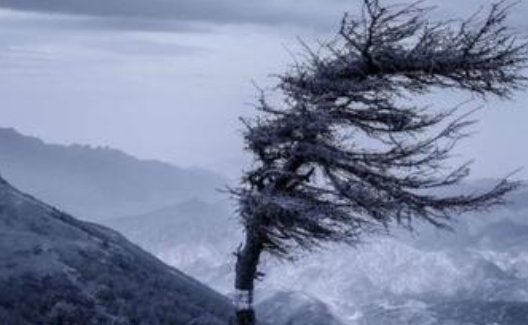 关于夜里刮大风睡不着的说说有哪些？