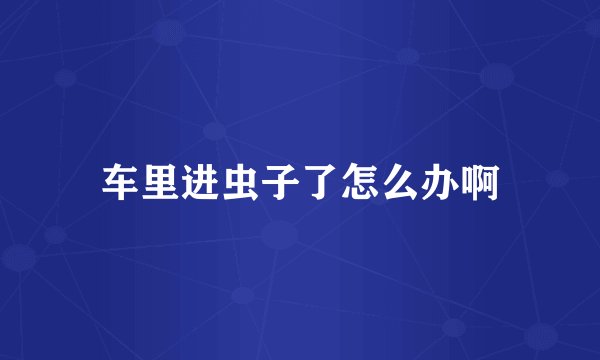 车里进虫子了怎么办啊
