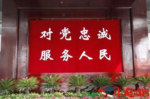 对党忠诚方面存在的问题及措施