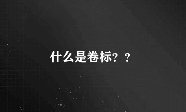 什么是卷标？？