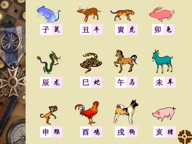 出生蛋壳体虽轻猜生肖