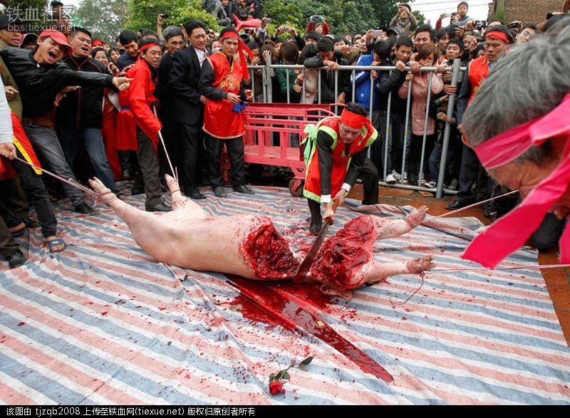 血腥假日的介绍