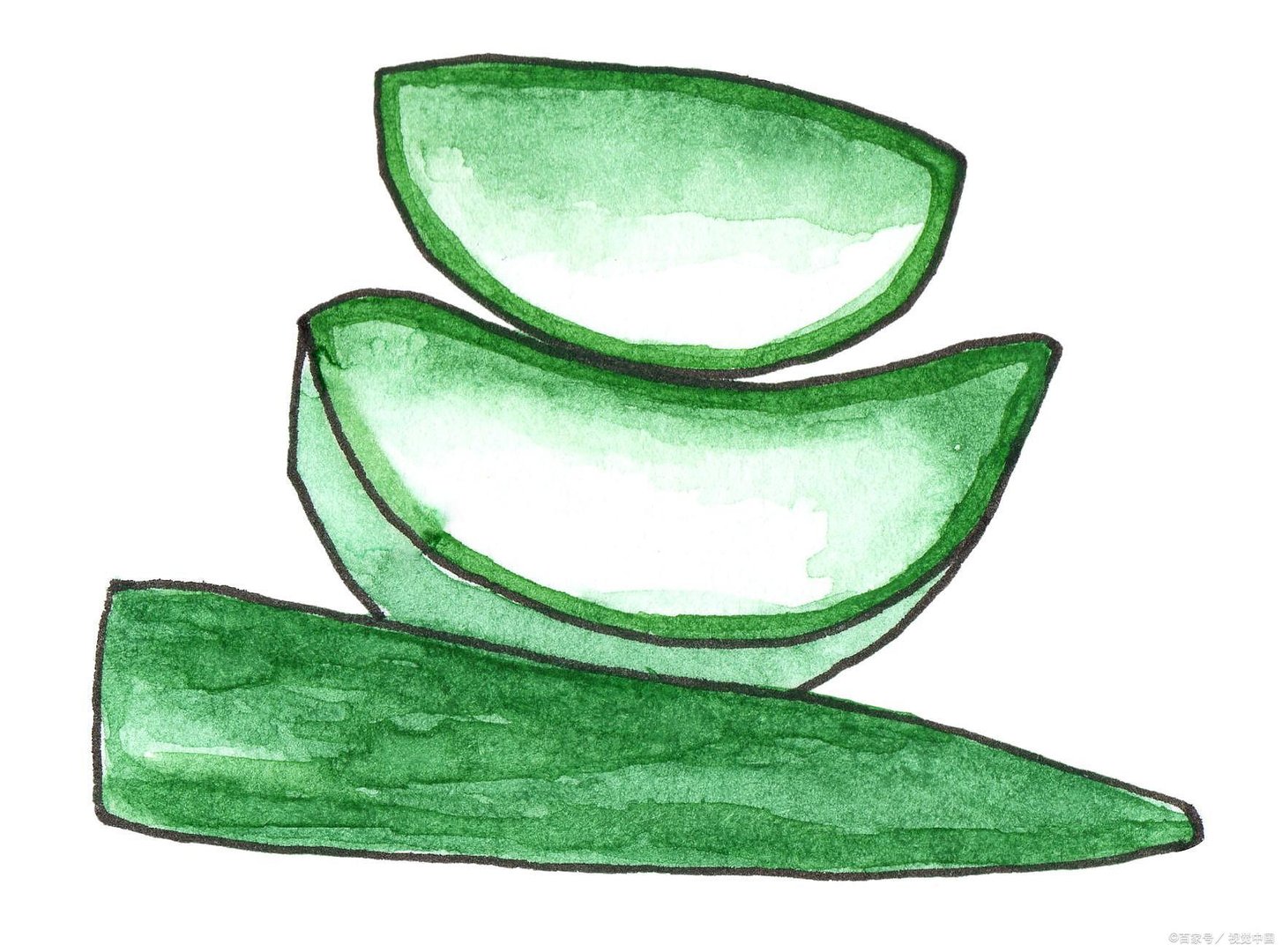 完美和林清轩芦荟胶哪个好用？林清轩芦荟胶的多种用法有什么？