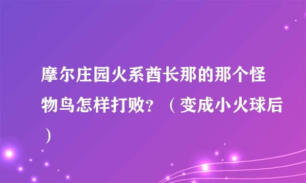 摩尔庄园火系酋长那的那个怪物鸟怎样打败？（变成小火球后）