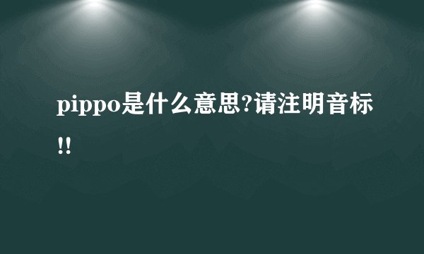 pippo是什么意思?请注明音标!!