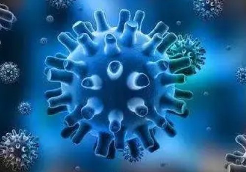 我国发现了多例新型尼帕病毒感染者，该病毒会对身体造成哪些危害？