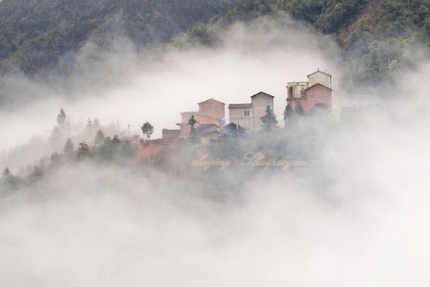 五里云雾正确生肖是什么