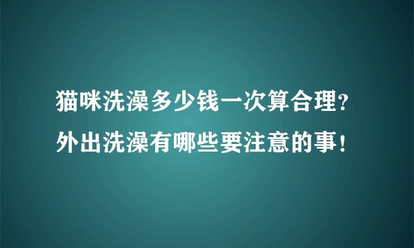 猫咪洗澡多少钱一次算合理？外出洗澡有哪些要注意的事！