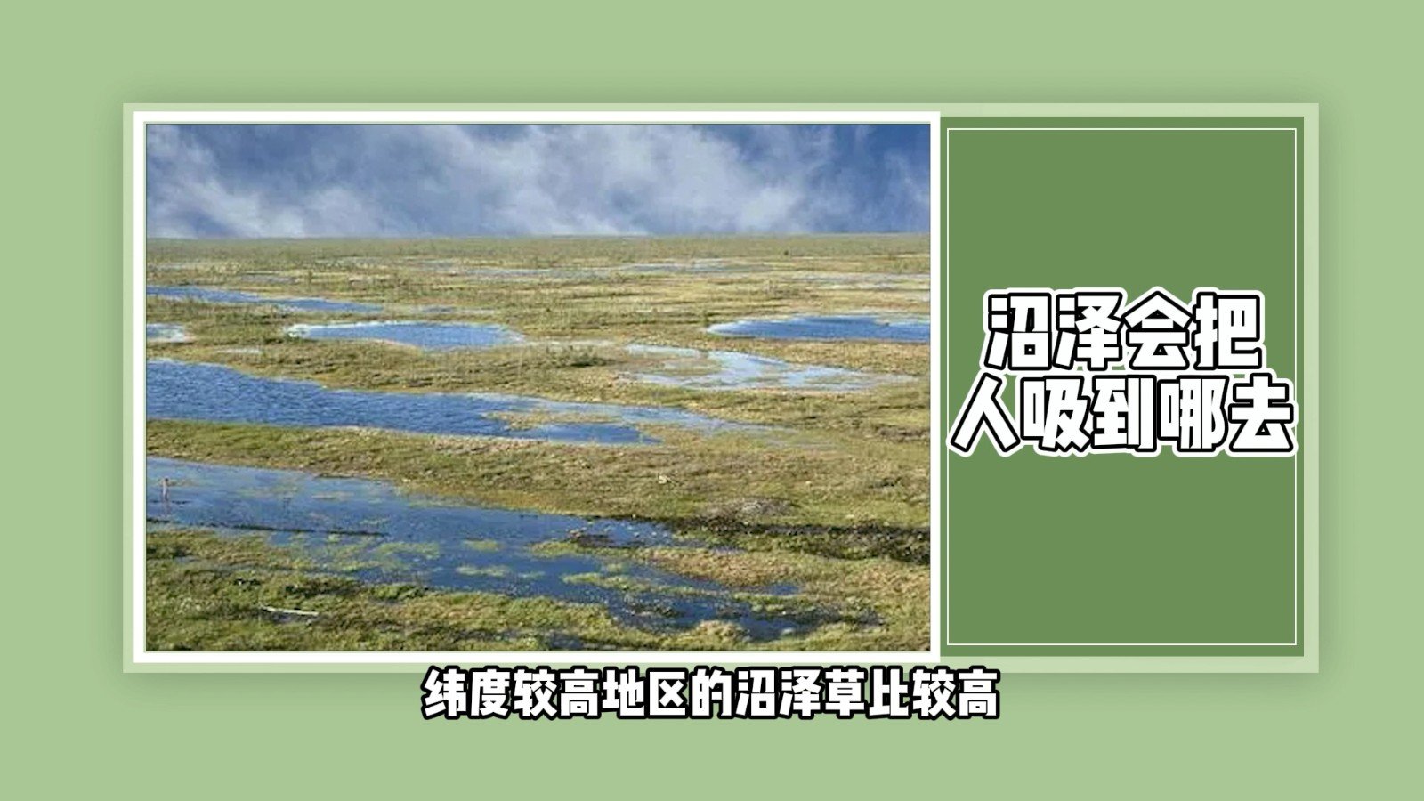 沼泽会把人吸到哪去?