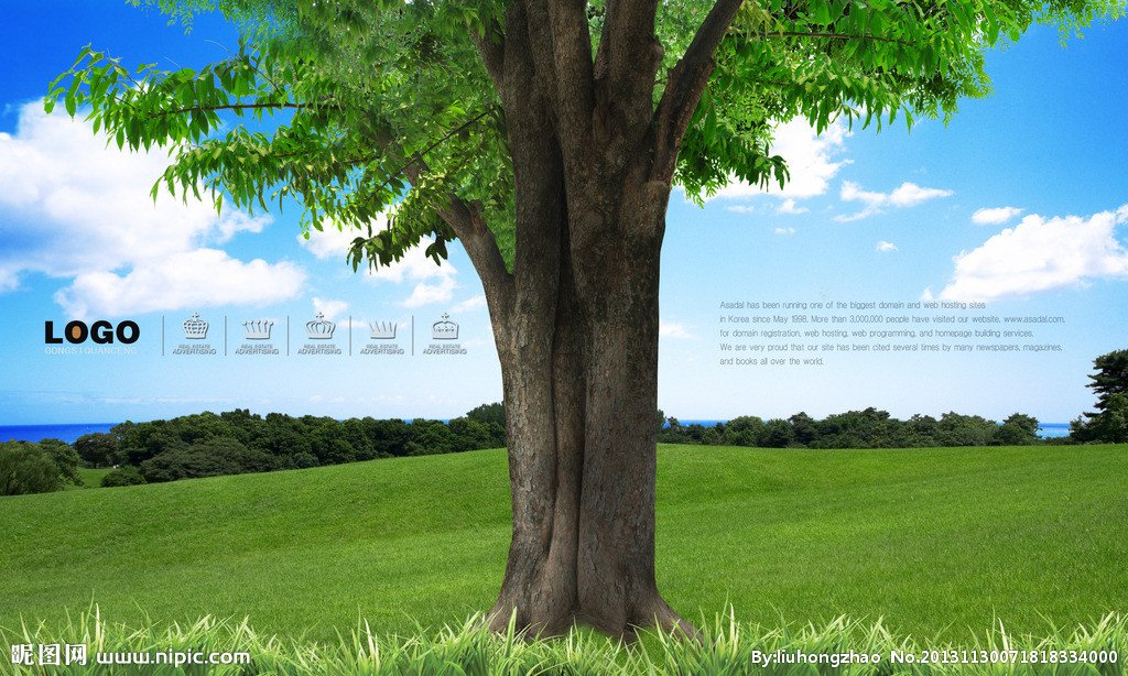 大树网大学生购物商城的网站性质