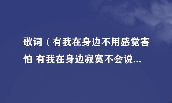 歌词（有我在身边不用感觉害怕 有我在身边寂寞不会说话）歌手歌名叫什么？