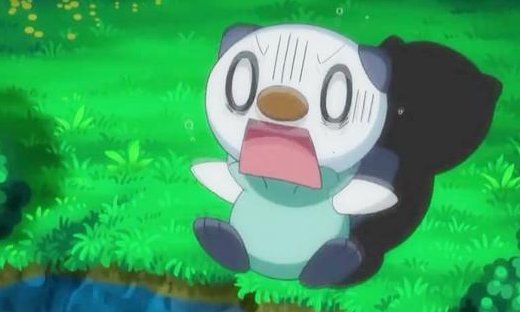 水水獭进化形态是什么？