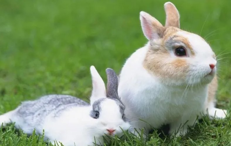 雪海冰山打一数字