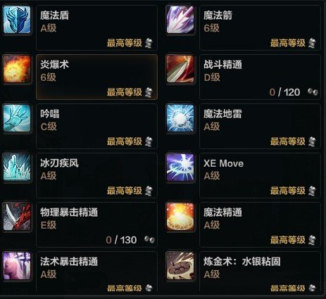 洛奇英雄传杖娘加点，不要拿复制的黑我，技能名字要正确