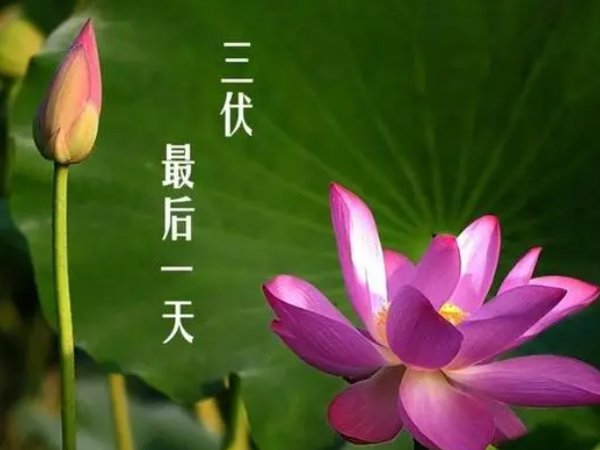 2023年出伏准确时间