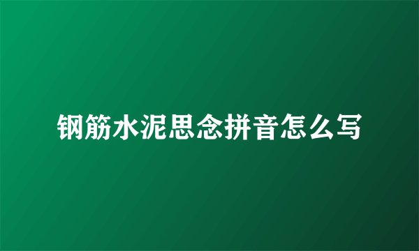 钢筋水泥思念拼音怎么写