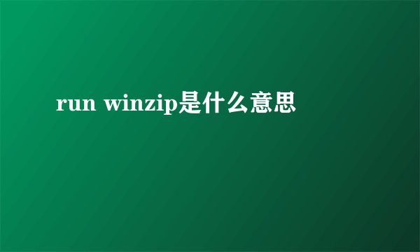 run winzip是什么意思