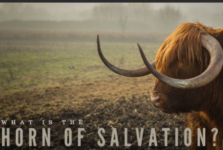 “的”英文是什么？